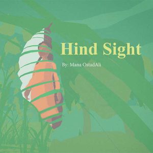 Hind Sight